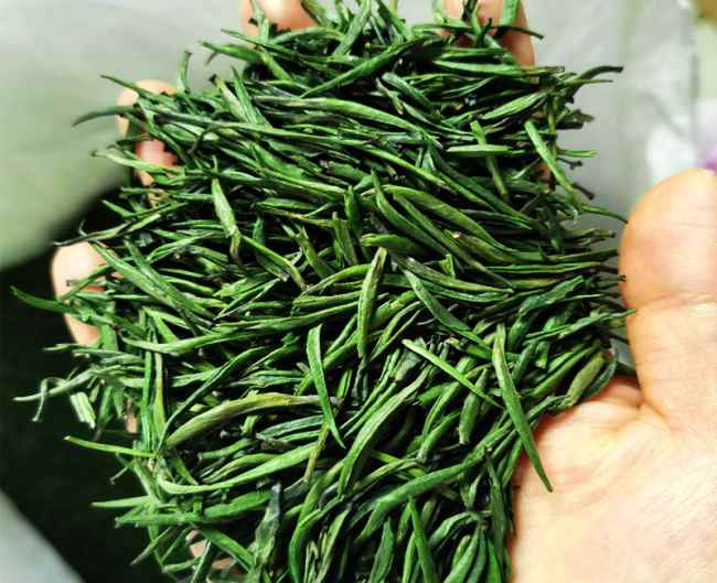 贵州特产湄潭翠芽茶怎么样，遵义茗茶湄潭翠芽茶图片简介