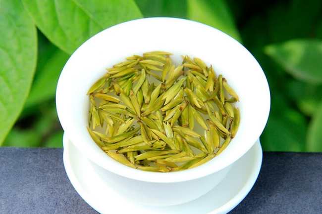 四川蒙顶黄芽怎么样，黄茶蒙顶黄芽茶图片简介