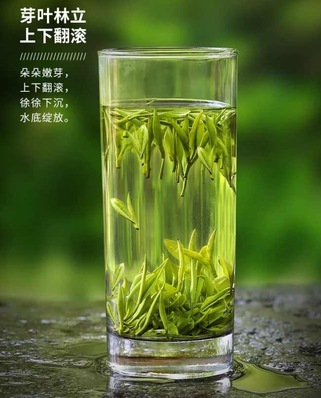 霍山黄芽茶生长环境怎么样，安徽霍山黄芽核心产区在哪里