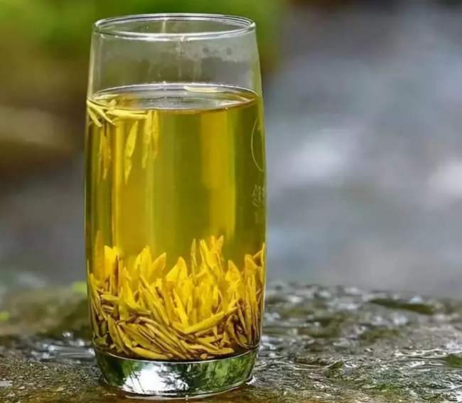 远安黄茶冲泡方法注意事项，湖北远安黄茶怎么泡茶好喝