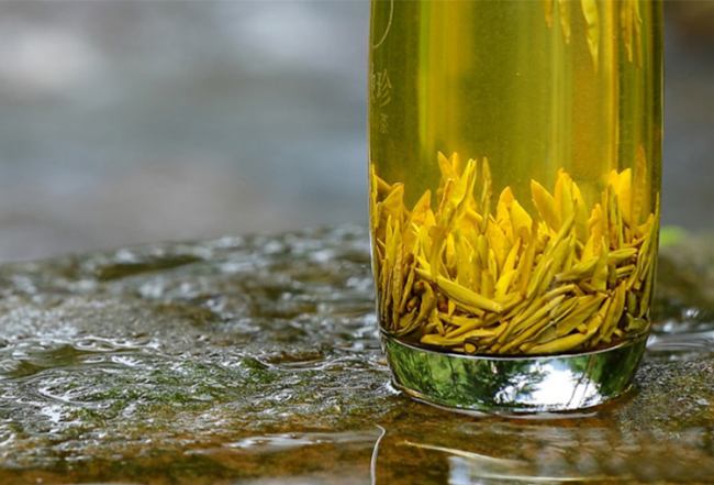 平阳黄汤茶属于什么茶，浙江平阳黄汤历史由来简介