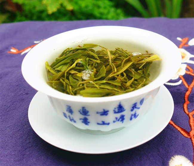 黄茶广州大叶青怎么样，广州大叶青图片简介