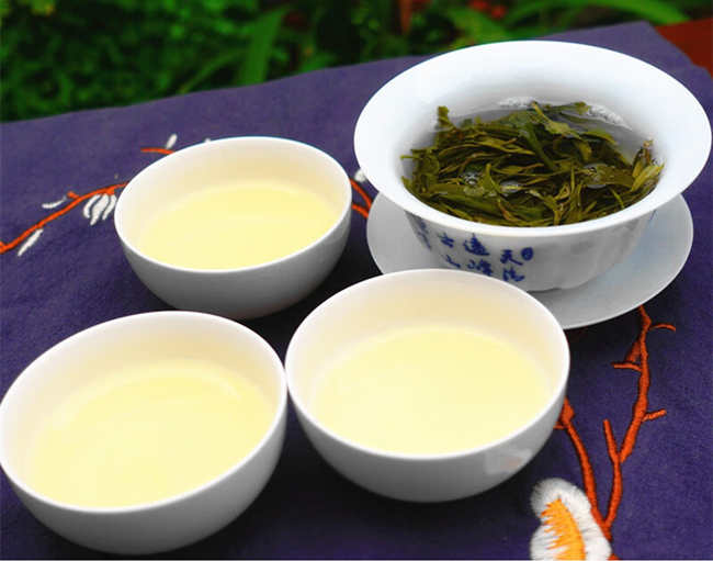 黄茶广州大叶青怎么样，广州大叶青图片简介