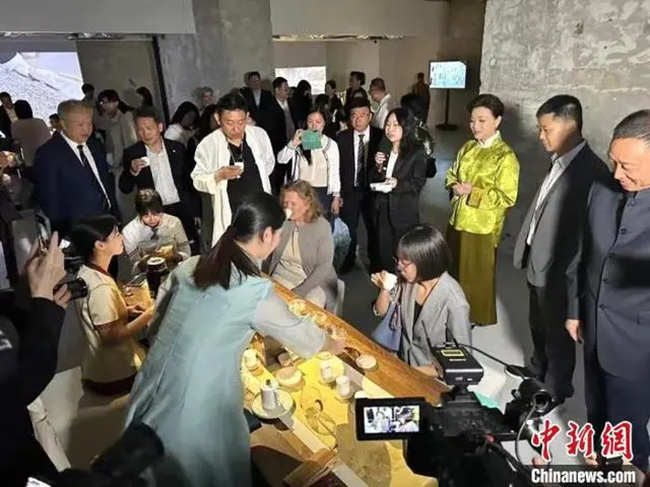 世界白茶发源地福建福鼎做足“福鼎白茶”发展文章