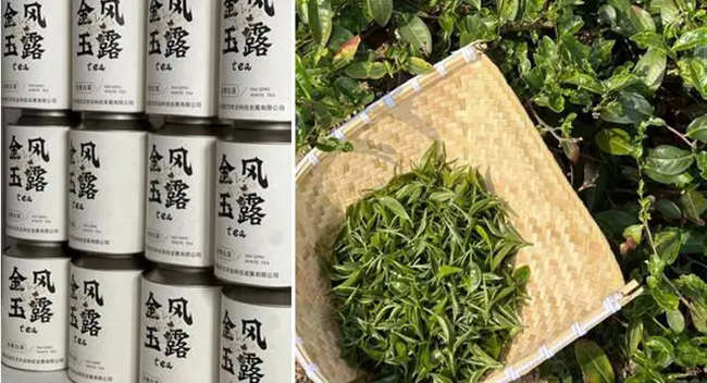 青岛首届白茶茶王赛举行,海青茶斩获多项大奖