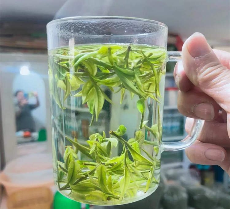 安吉白茶放冰箱冷藏还是冷冻好，安吉白茶怎么保存呢？