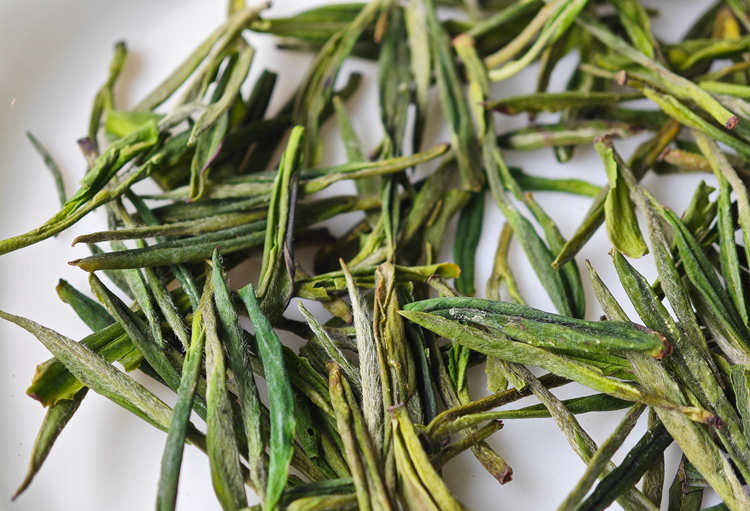 浙江安吉白茶属于什么档次，安吉白茶是什么颜色