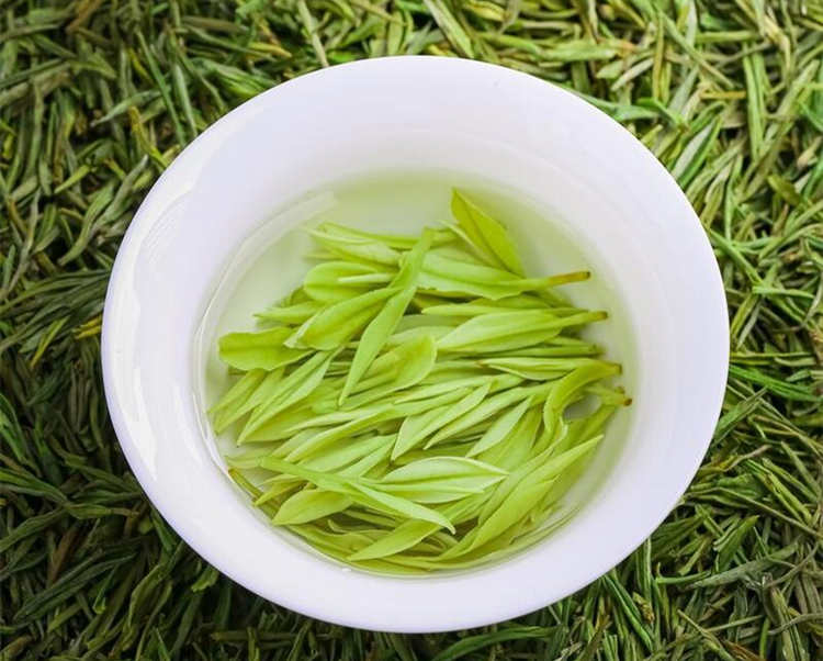 安吉白茶是什么茶叶做的，正宗安吉白茶怎么区分
