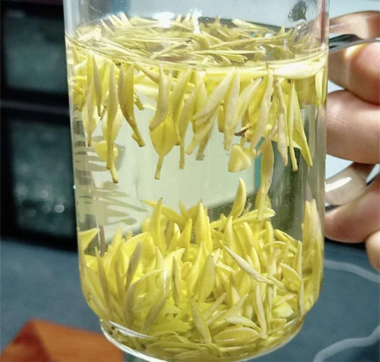 安吉白茶为何叫白茶，3000元一斤的安吉白茶是什么档次