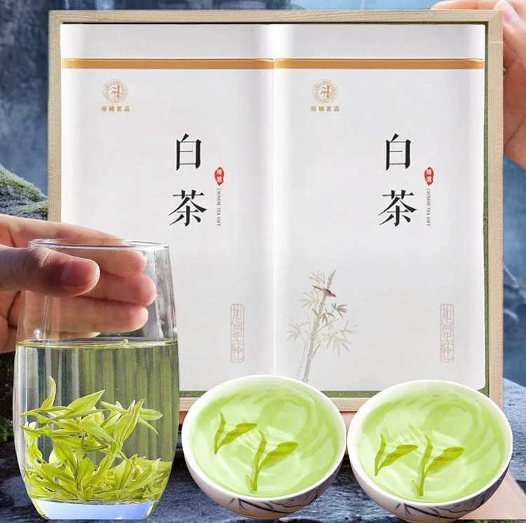 安吉白茶和福鼎白茶的区别在哪里