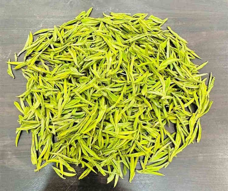 安吉白茶产地哪里的最正宗，哪里的安吉白茶口感最好