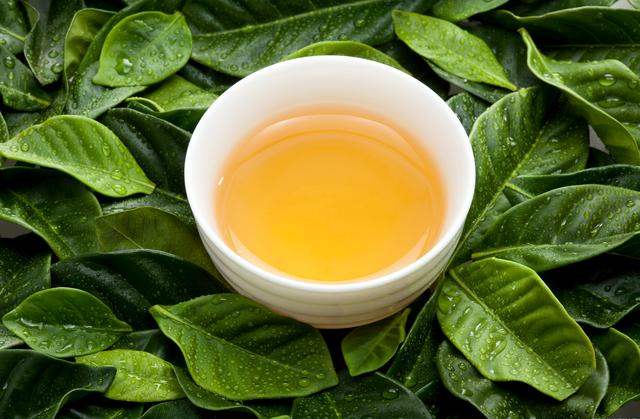 ??茶叶水可以给植物浇水吗，??茶叶水浇花可以吗