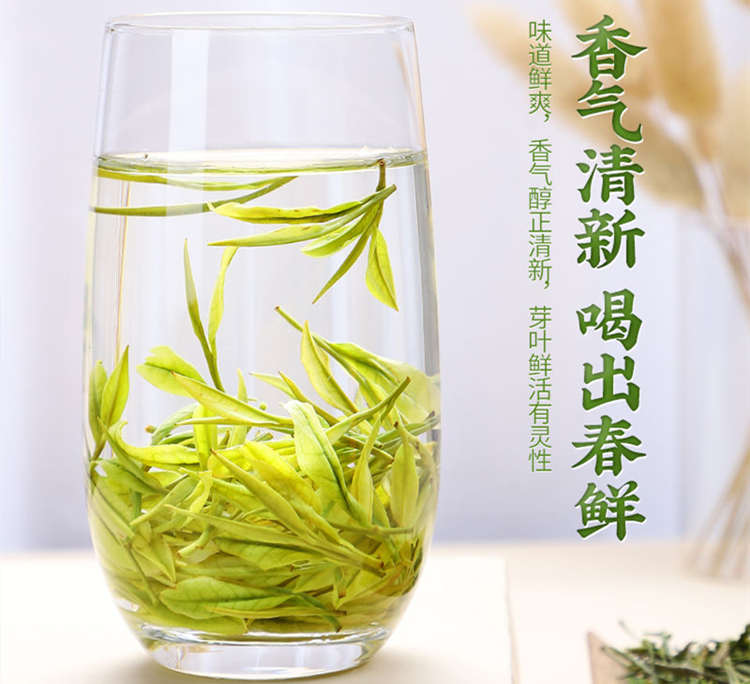 ??安吉白茶口感怎么样，??浙江安吉白茶图片土特产简介