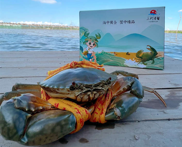 ??台州三门青蟹怎么样，??浙江三门青蟹图片土特产简介