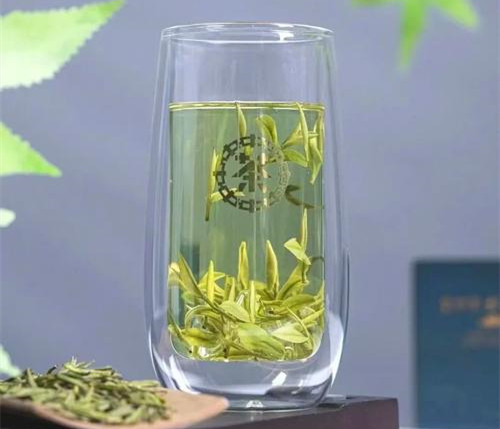 宋帝御赐第一茶安吉白茶价格多少钱