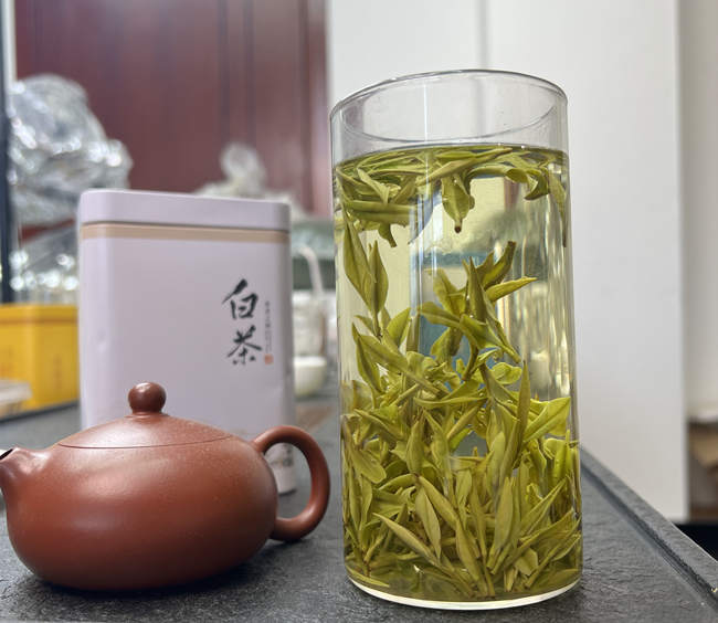 原产地大山坞安吉白茶价格，大山坞白茶价格