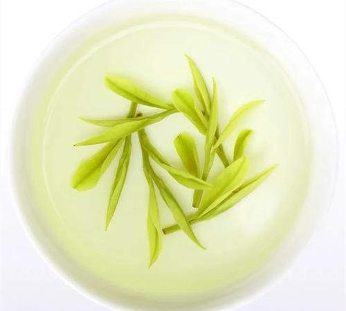 安吉白茶为什么叫白茶，安吉白茶属于绿茶吗？