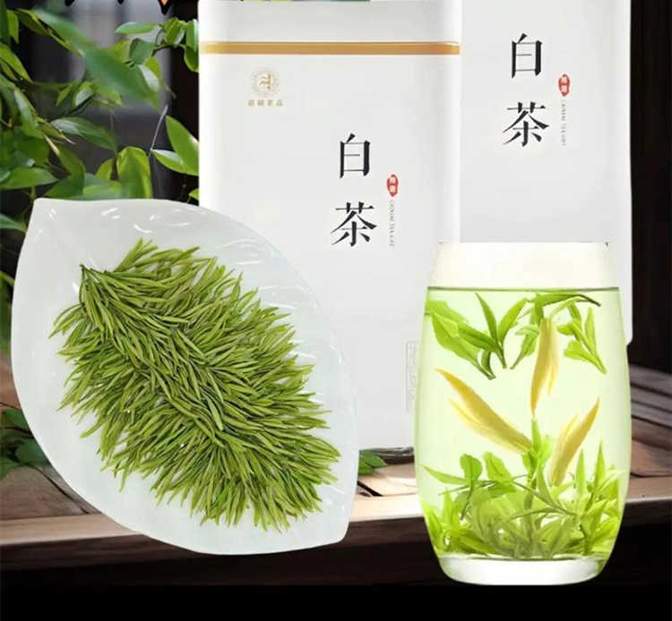 安吉白茶泡茶一次放多少克，湖州安吉白茶怎么泡好喝
