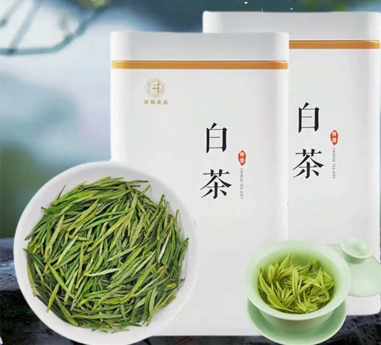 安吉白茶制茶属于什么工艺，安吉白茶茶树品种