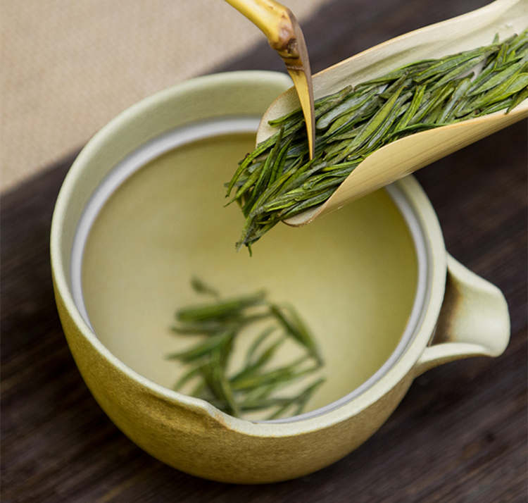 安吉白茶味道为什么那么淡，安吉白茶口感是怎样的