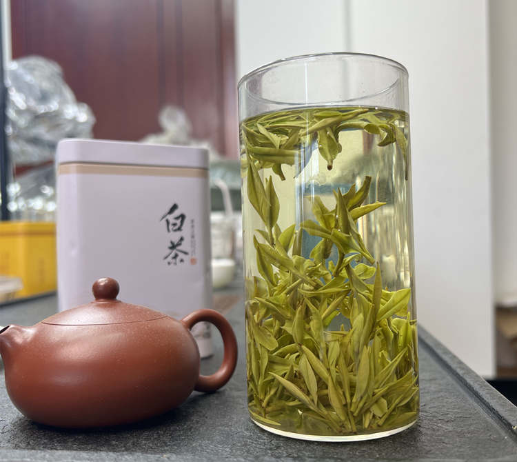 安吉白茶为什么这么贵，安吉白茶价格多少