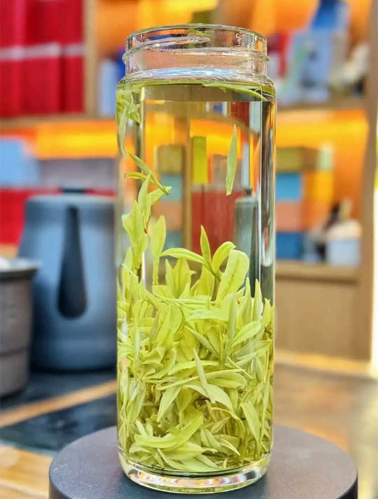 安吉白茶和奶白茶的区别有哪些