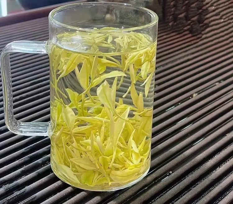 安吉奶白茶【皇金芽】简介