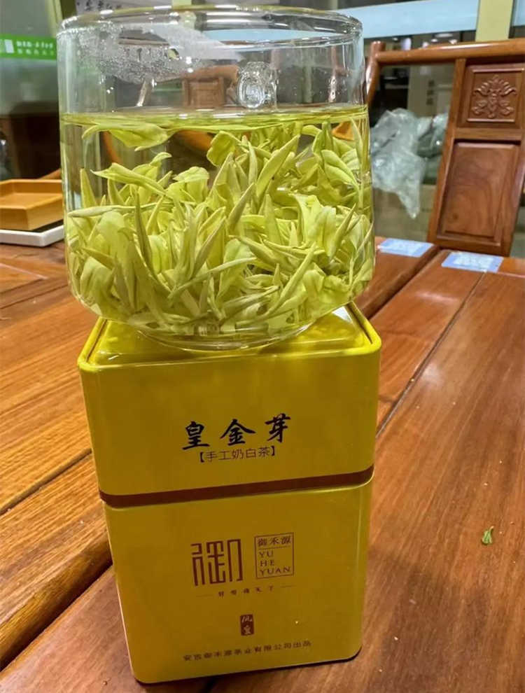 奶白茶是什么茶，安吉皇金芽属于什么茶