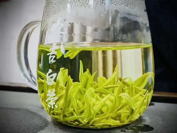 浙江安吉白茶冲泡方法正确步骤简介