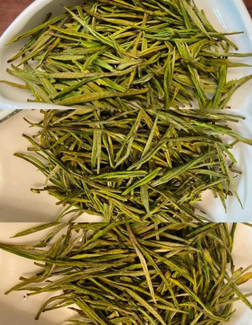 正宗安吉白茶干茶是什么颜色