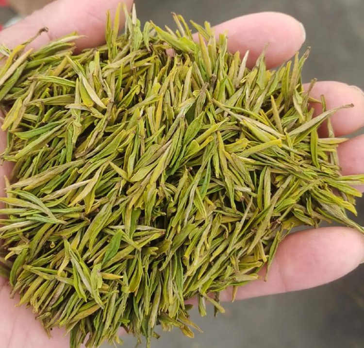 安吉白茶怎么保存最好，安吉白茶干茶储存方法