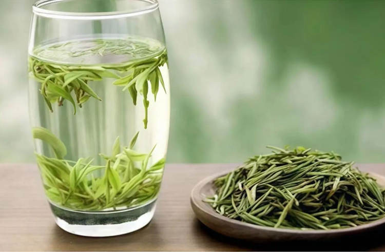 安吉白茶是绿茶为什么叫白茶呢