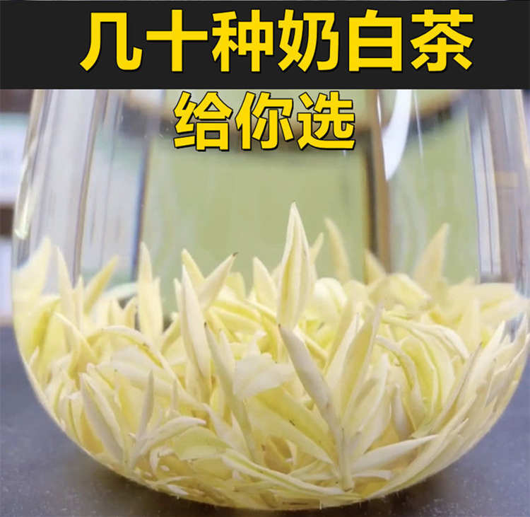 浙江安吉皇金芽的特点有哪些