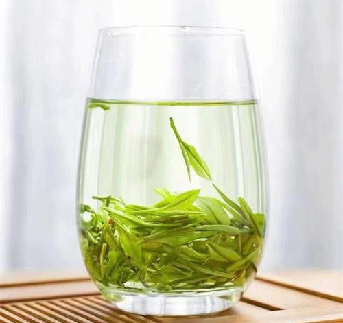 女人喝安吉白茶的好处有哪些