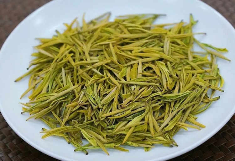 安吉皇金芽新茶什么时候采摘上市