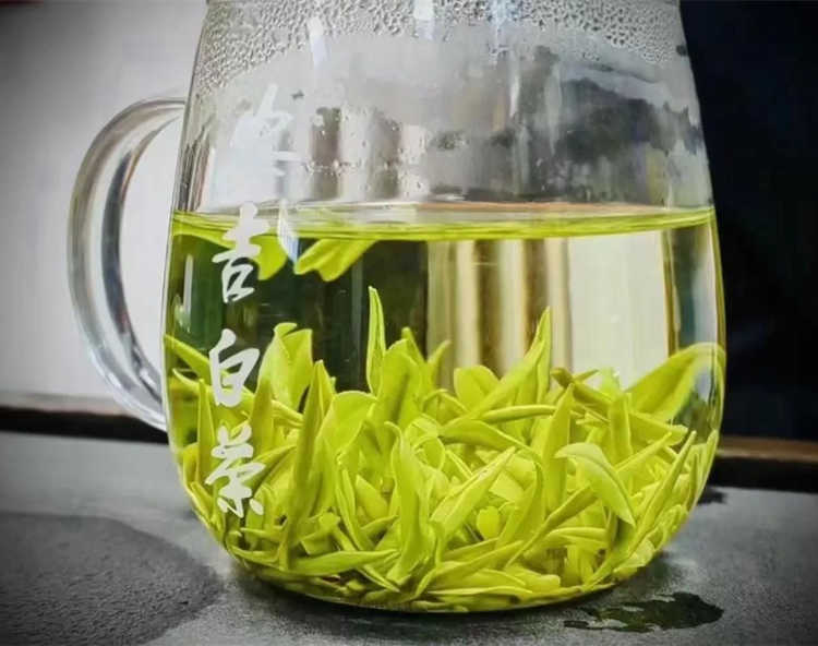 一般安吉白茶价格多少一斤