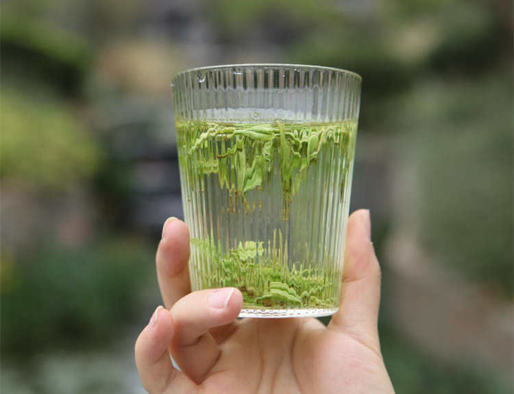 原产地安吉白茶哪里的最正宗