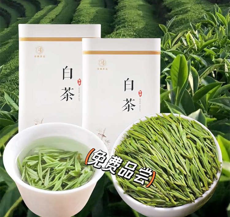 安吉白茶产地在哪个省，安吉白茶属于哪里的特产