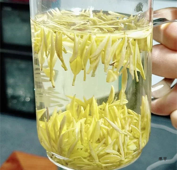 安吉奶白茶适合什么人喝，安吉皇金芽喝茶禁忌