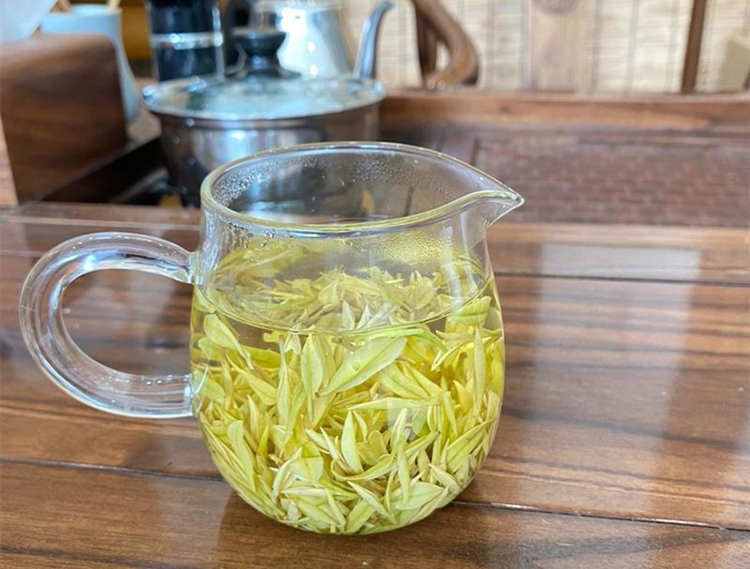 安吉奶白茶的口感特点介绍