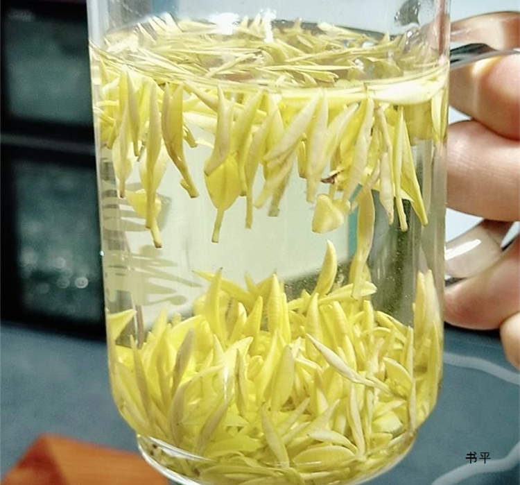 安吉皇金芽茶叶价格一般多少一斤