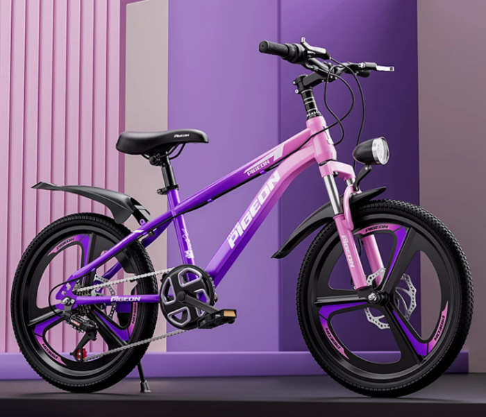 飞鸽牌自行车儿童女孩6到12-15岁变速山地车