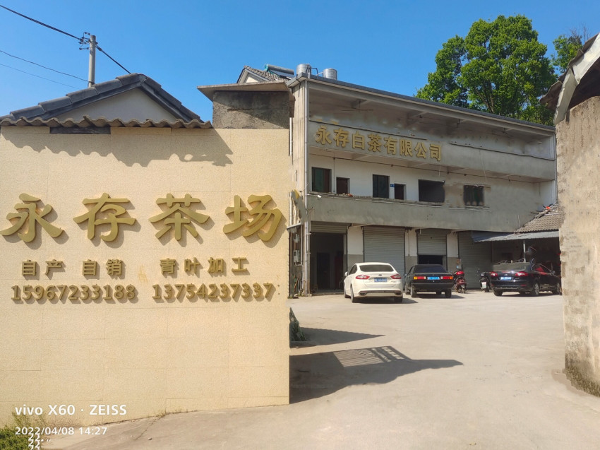 浙江安吉永存白茶有限公司怎么样，地址联系方式